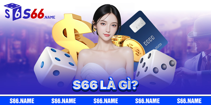 s66
