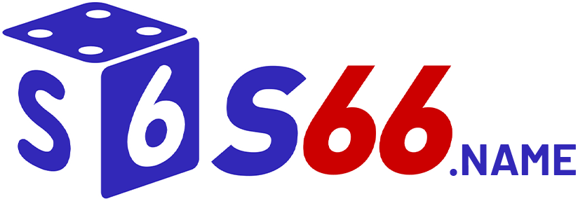 s66